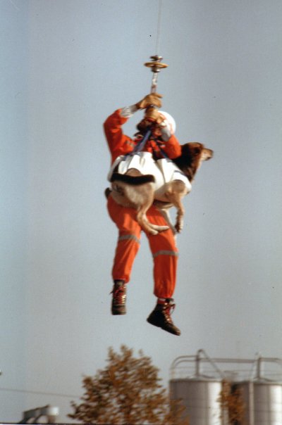 protezione civile cane